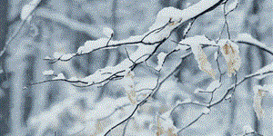 2018���һ��ѩ�����Լs�˿��{�Ĝ�ܰ��ʾ